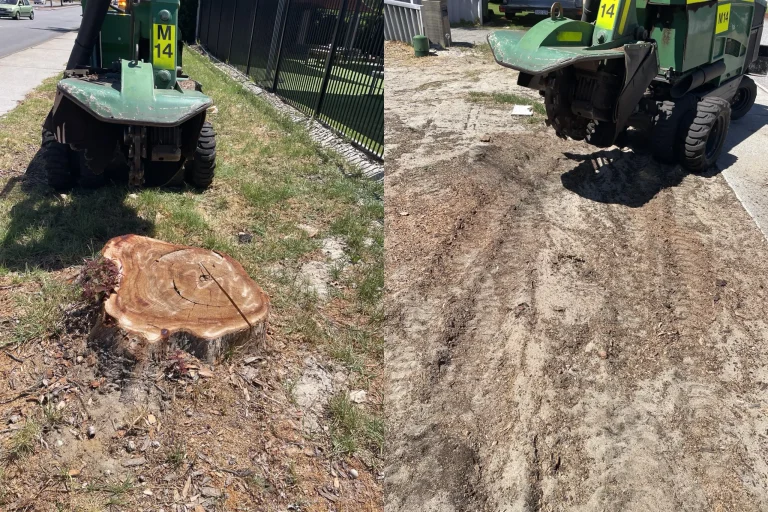 Stump grinding – before and after