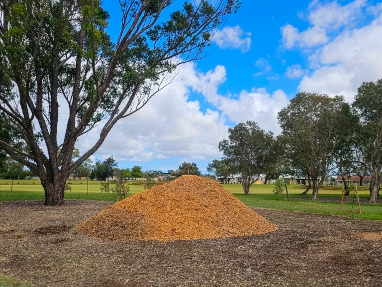 Woodchip mulch prepared for supply and delivery