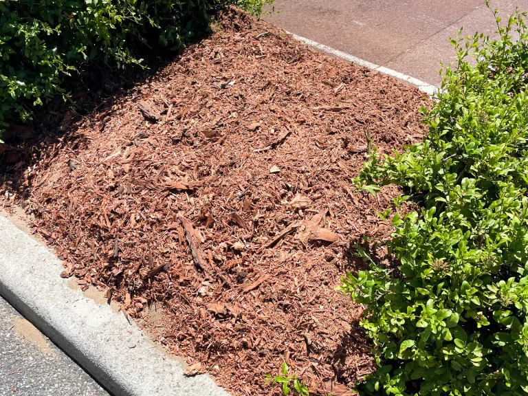 Freshly applied brown mulch installation for landscaping