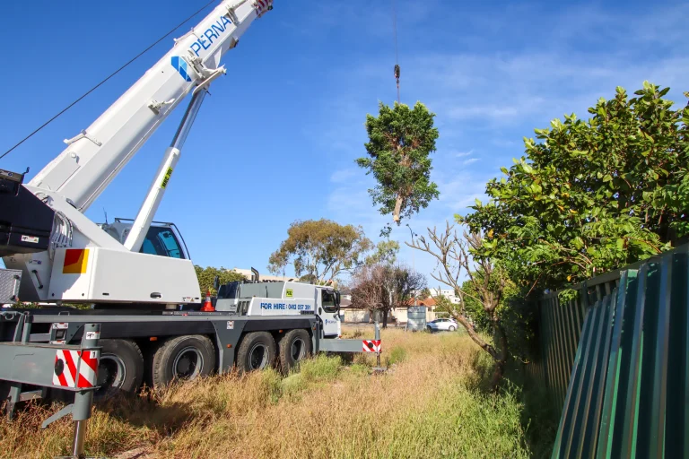Crane-assisted tree removal
